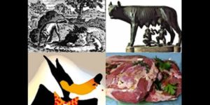 Подробнее о статье Journal des Parques J-10