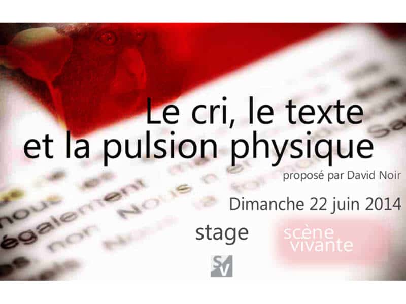 Stage Scène Vivante | "Le cri, le texte et la pulsion physique" | Photo © David Noir