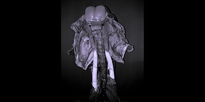 Lee más sobre el artículo Défense du masque Ulin
