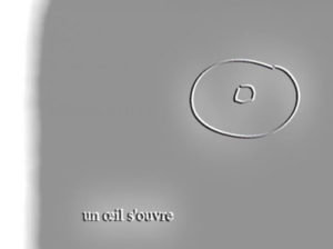 我想继续做个陌生人｜视频文字音频 © David Noir