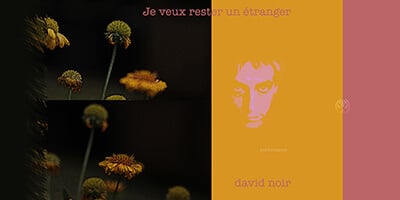 Lire la suite à propos de l’article Je veux rester un étranger