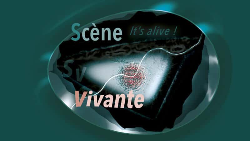 Cours Scène Vivante © David Noir