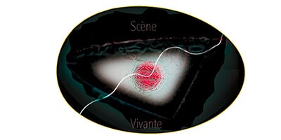 Lire la suite à propos de l’article Scène Vivante | Informations pratiques