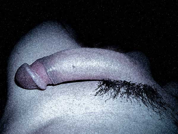 Mon art sexuel | Ma bite alanguie | 2 | Autoportrait © David Noir