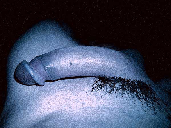 Mon art sexuel | Ma bite alanguie | 3 | Autoportrait © David Noir