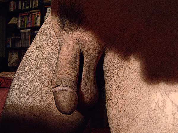 Mon art sexuel | Mon sexe placide | 1 | Autoportrait © David Noir