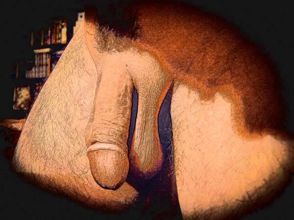 Mon art sexuel | Mon sexe placide | 2 | Autoportrait © David Noir