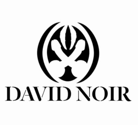 Logo DAVID NOIR | Marque semi-figurative déposée à l'INPI sous le N°4658060 | Graphisme © Filifox-Philippe Savoir | Conception © David Noir
